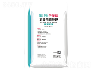 �r(n��ng)�I(y��)�������-��ķ������-���¼��F(tu��n)