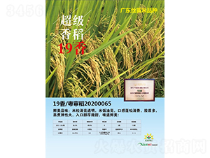 19��-ˮ���N��-�r���N��