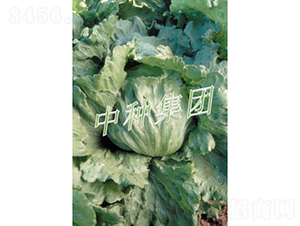 Ī����-���˷N��-�зN���F