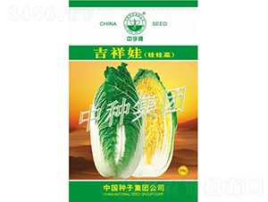 ������-�ײ˷N��-�зN���F(tu��n)