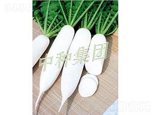 �L��1̖-�}���N��-�зN���F(tu��n)