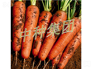 �зN989-���}���N��-�зN���F(tu��n)