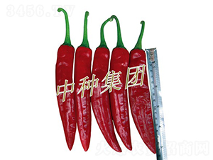 �dԴ818-�����N��-�зN���F(tu��n)