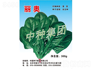 ���W-���˷N��-�зN���F(tu��n)