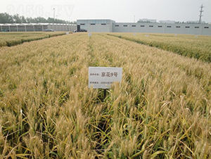 ����9̖(h��o)-С���N��-�зN���F(tu��n)