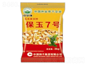 ����7̖-���׷N��-�зN���F