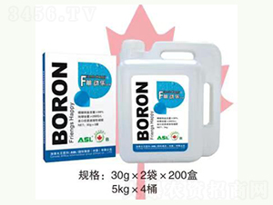 ���w��-���(d��ng)��-��˼��