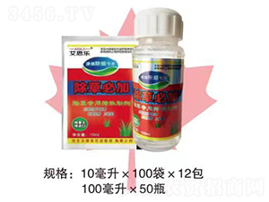 ���݌��ÝB͸��Ϟ����-��˼��