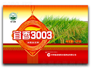 ����3003-ˮ���N��-�зN���F(tu��n)