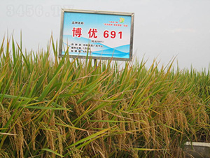 ����(y��u)691-ˮ���N��-�зN���F(tu��n)