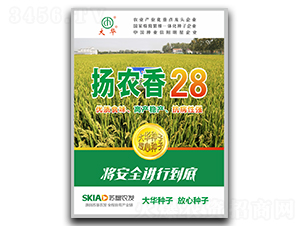 �P(y��ng)�r(n��ng)��28-ˮ���N��-���A�N�I(y��)