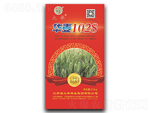 �A��1028-С���N��-���A�N�I(y��)