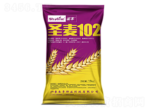 ʥ��102-С���N��-ʥ�S�N�I(y��)