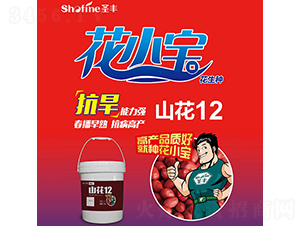 ɽ��12-�����N��-ʥ�S�N�I(y��)