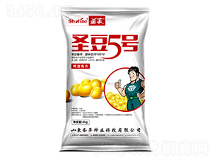 ʥ��5̖(h��o)-�󶹷N��-ʥ�S�N�I(y��)