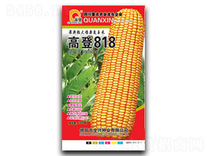 �ߵ�818-���׷N��-ȫ�d�N�I(y��)