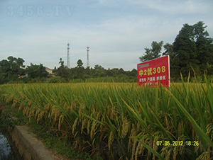 ��2��(y��u)308-ˮ���N��-�зN���F(tu��n)