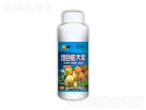 ���t�����-�������