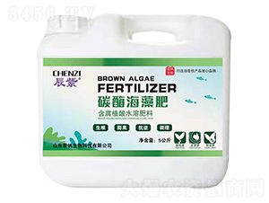 辰紫碳酶海藻肥-雷納生物