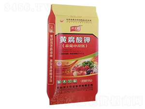 �S�����-������-�ٻ�����