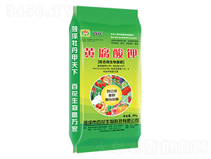 �S�����-�ٻ�����