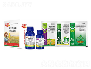 �������s�ݽ�Q����-���ƹ�-�����S