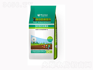 ���w�����������{�턩-¡�ꠖ