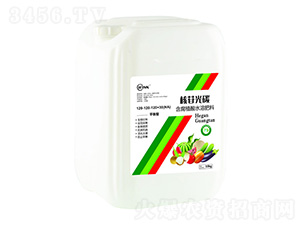 ���չ�̼��ƽ���ͣ�-�f���r(n��ng)��