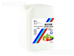 ���չ�̼-�f(w��n)���r(n��ng)��