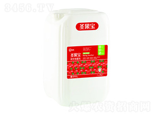 ΢�������-ʥ����-�f���r(n��ng)��