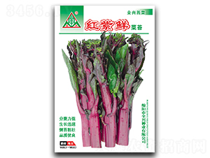 �t���r-��̦�N��-ȫ�d�N�I(y��)