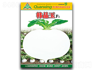 �n����-�}���N��-ȫ�d�N�I(y��)