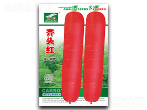 �R�^�t-���}���N��-ȫ�d�N�I(y��)