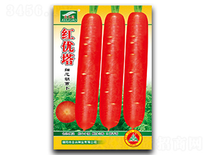 �t��(y��u)��-���}���N��-ȫ�d�N�I(y��)