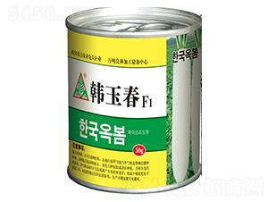 �n��-�L���}���N��-ȫ�d�N�I(y��)