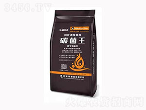 ̼����΢�������-���ɷ���