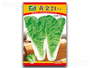 30g�S��21-��˷N��-ȫ�d�N�I(y��)