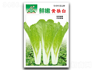 �r���S����-С�ײ˷N��-ȫ�d�N�I(y��)