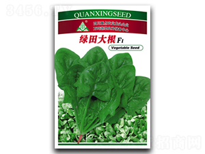 �G����-���˷N��-ȫ�d�N�I(y��)