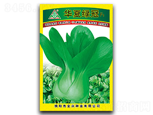 �A�ľG��-�๣�˷N��-ȫ�d�N�I(y��)