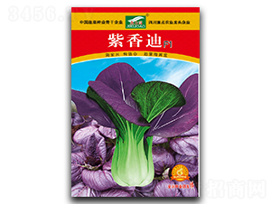 �����-�๣�˷N��-ȫ�d�N�I(y��)