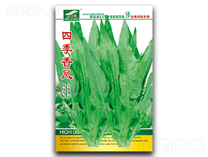 �ļ����P-�����˷N��-ȫ�d�N�I(y��)