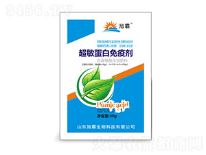 30�˳����������߄�-�������