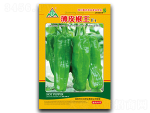 ��Ƥ����-�˽��N��-ȫ�d�N�I(y��)