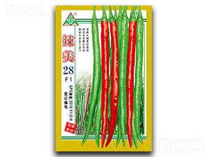 ����28-�����N��-ȫ�d�N�I(y��)