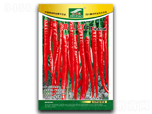 滿山紅-線椒種子-全興種業(yè)