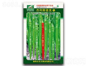 ����˹����-�����N��-ȫ�d�N�I(y��)