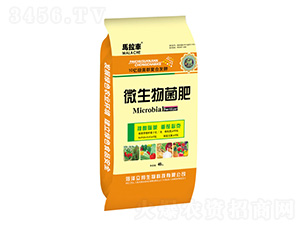 ΢�������-�R��܇-��������