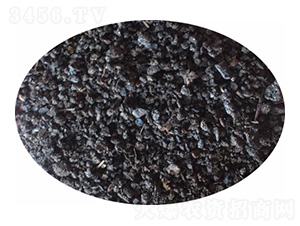 �w���ЙC��-Ԫ������