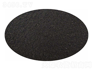 �����ЙC(j��)����-Ԫ������